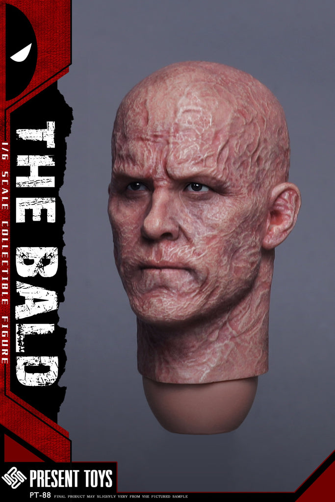 Present-Toys-The-Bald